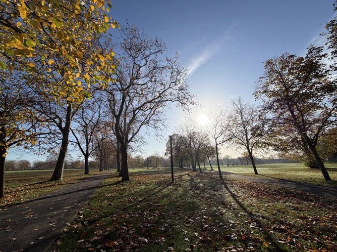 Early morning in the park
