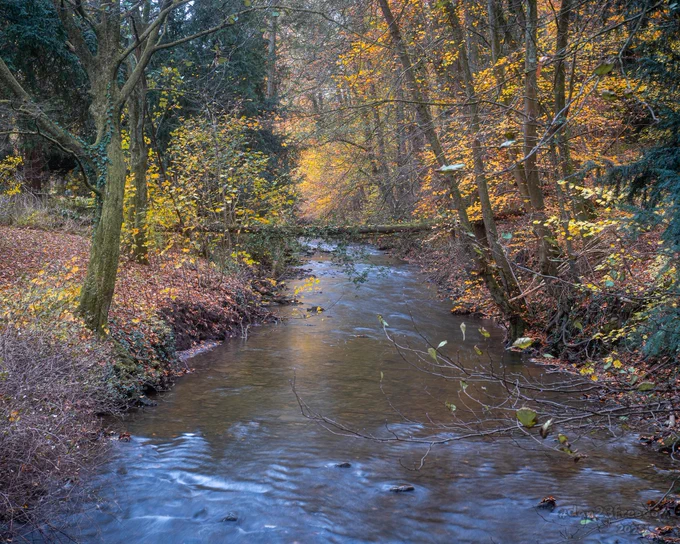 A gentle autumn stream flows beneath a pedestrian bridge, surrounded by colourful fall foliage and a fallen tree trunk crossing the water.
—
Logs lounge like lazy old cats, 
The stream flows in slow-motion spats.