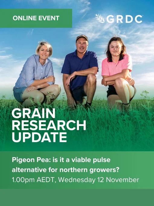 Promotional image for an online GRDC event titled 'Grain Research Update.' Three people are seated in a field, smiling at the camera. Details mention the event is at 1:00 PM AEDT on a Wednesday, specifically for northern growers.