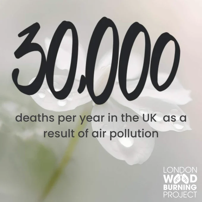 Text reads “30,000 deaths per year as a result of air pollution”; the background is a photograph of a white flower on a misty background.