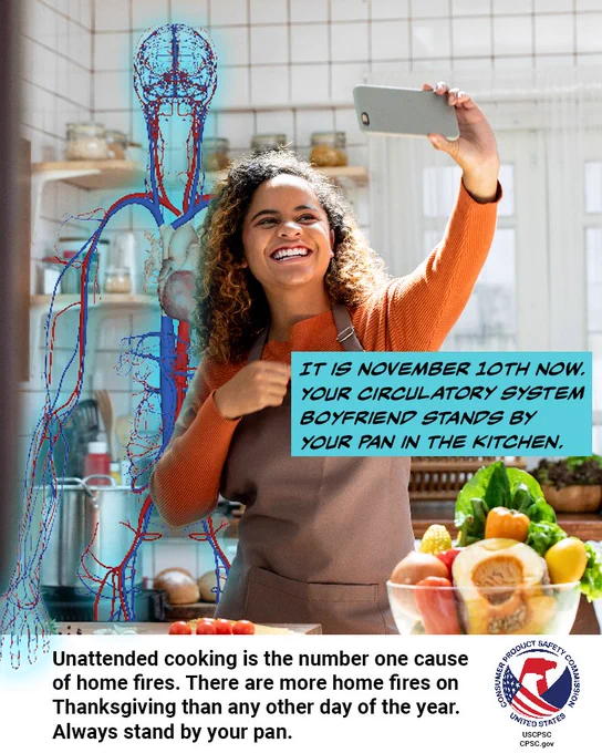 A woman standing in her kitchen. She is taking a photo of herself and her boyfriend who is just a circulatory system. The text reads: It is November 10th now. Your circulatory system boyfriend stands by your pan in the kitchen. Unattended cooking is the number one cause of home fires. There are more home fires on Thanksgiving than any other day of the year. Always stand by your pan.