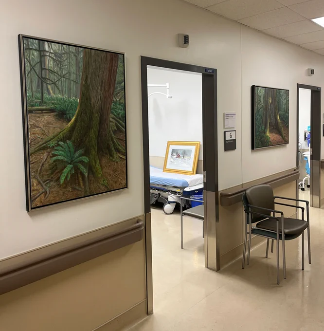 Artworks Nestled (left) and Crawl Space (right) by Anja Karisik brighten the walls of a cancer treatment unit at Humber River Health.