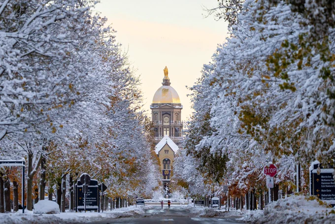 Snow-covered trees line a pathway leading to a building topped with a golden dome, set against a pale sky. The scene conveys a tranquil winter atmosphere.