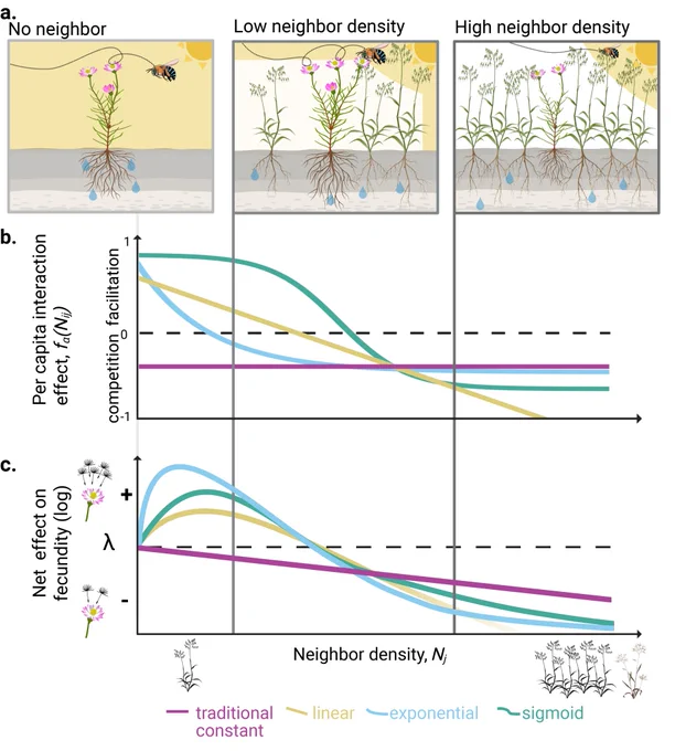 Schematic illustrating how species interactions can depend on neighborhood density and identity.