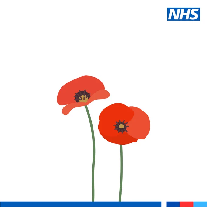 Two poppies standing together