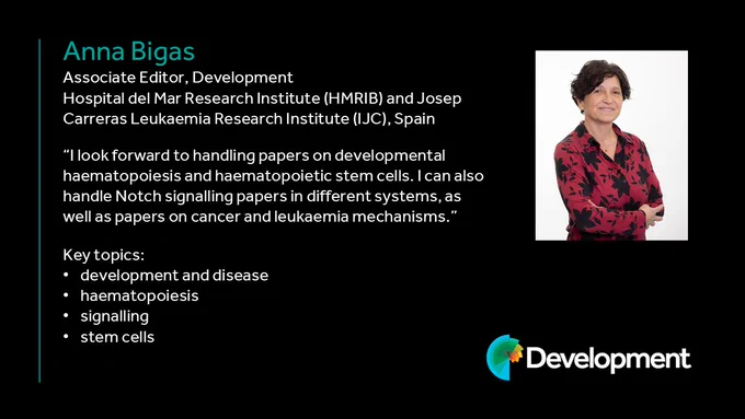 Anna Bigas
Associate Editor, Development
Hospital de Mar Research Institute (HMRIB) and Josep Carreras Lukaemia Research Institute (IJC), Spain

"I look forward to handling appers on developmental haematopoiesis and haematopoietic stem cells. I can also handle Notch signalling papers in different systems, as well as papers on cancer and leukaemia mechanisms."
Key topics: development and disease, haematopoiesis, signalling, stem cells. 