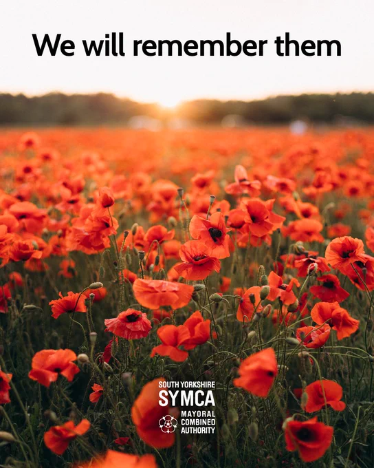 Armistice Day image showing a field of Poppies at sunset.