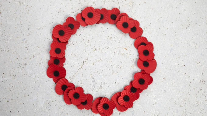 A circle of poppies on the ground.