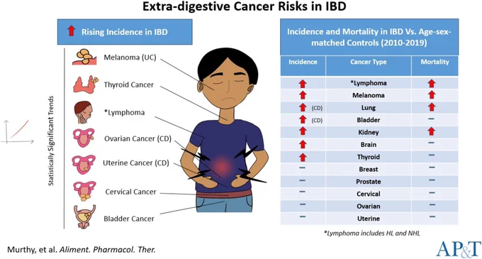 This illustration summarises our primary findings highlighting the rising incidence of certain extra-digestive cancers among persons with IBD over the 25-year study duration (left), and the relative rates of extra-digestive cancer incidence and mortality among persons with IBD in recent years (2010–2019) compared to their age- and sex-matched controls (right).