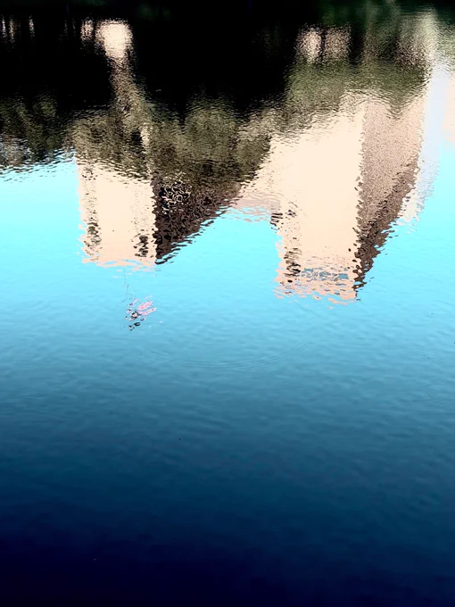 Reflection 