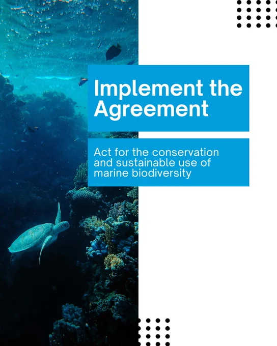 A blue underwater scene showing a sea turtle swimming near a colorful coral reef, with the ocean surface visible above. The text on the image reads: "Implement the Agreement. Act for the conservation and sustainable use of marine biodiversity."