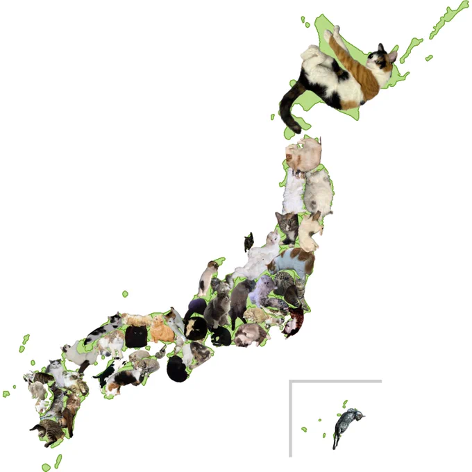 猫だらけ日本地図ver6
北海道　@nachos0420
青森県　@keisukenarumi様
秋田県　@CoLoMooo様
山形県　@chunithm1212様
岩手県　@eleven11neko様
宮城県　@acharikutan様
福島県　@ebi_ebico 様
群馬県　@koshinon429様
栃木県　@otani807様
茨城県　@iewori (自分)
千葉県　@tibi_nasu 様
埼玉県　@mikeko_alice 様
東京都　@momorin_pokemon 様
神奈川県　@yo_kaitsuriteng 様
山梨県　@moeka0222様
静岡県　@nyaoya__x 様
新潟県　@napitter_at 様　@kenta221B様
石川県　@picopicopchan様
富山県　@torotaku_mogu 様
福井県　@aabakane 様
長野県　@kibi_dangonn様
岐阜県　@kafurin1113様
愛知県　@userqz8様
滋賀県　@86_kr9ivf 様
三重県　@nh_ew 様
京都府　@heki_o 様
大阪府　@whoyouco様
奈良県　@amefuwa709様
和歌山県　@0735Koume様
兵庫県　@0812_0305_cats 様　@satellite_off 様
岡山県　@jack3star様
広島県　@latte_Sco_ 様
鳥取県　@Tete_cat1114 様
島根県　@shiba_corone 様
山口県　@yellow_BM 様
香川県　@naruchip1様
徳島県　@an_kayama07 様
愛媛県　@aabakane 様
高知県　@p_eidechse 様
福岡県　@dvasenn様
大分県　@shio_ohana_ 様
長崎県　@fi4bkjy0g様　@4ny1SG__ 様　@Shirasu71minuet様
佐賀県　@tamayazakka様
熊本県　@Ryo_Sahara 様
宮崎県　@nina_san_sun 様
鹿児島県　@nElTAwEJE974297様
沖縄県　@bengal_neko_ 様