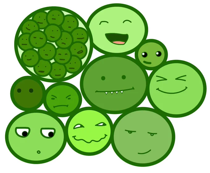 clipart showing several algal cells with emoji-like faces