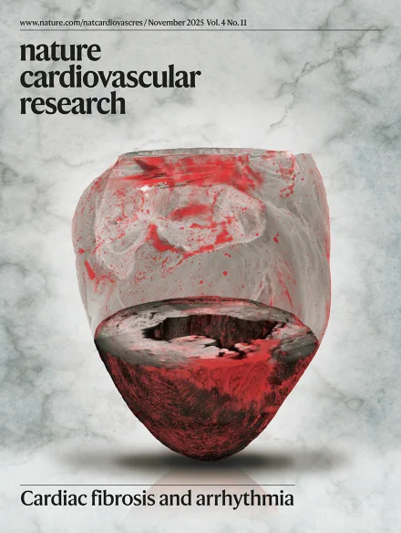 Image: Leonardo Sacconi, Institute of Clinical Physiology. Cover design: Bethany Vukomanovic

Cardiac fibrosis and arrhythmia
Three-dimensional structural reconstruction of entire cleared mouse ventricles from a diseased heart acquired using mesoSPIM tomography. Myocardium is visualized by fluorescence (gray), and fibrosis is detected via scattered light (red) (see Giardini et al.).