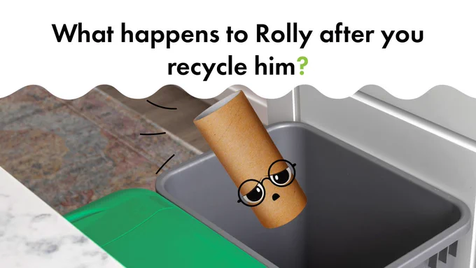 A grey recycling bin in a kitchen pull-out drawer. A toilet roll tube is falling into the bin with a worried expressive doodled on face and rounded spectacles.  A wavy white filled shape covers the top third of the image with black text: "What happens to Rolly after you recycle him?"