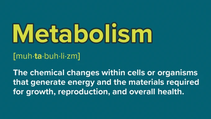 "Metabolism" defined as the chemical changes generating energy and materials for growth, reproduction, and health in cells or organisms.