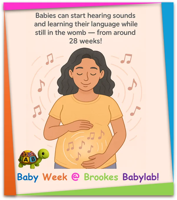 A cartoon of a pregnant woman with musical notes floating around her. The text above reads: babies can start hearing sounds and learning their language while still in the womb - from around 28 weeks!