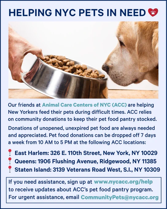Graphic shows post caption with image of dog near bowl