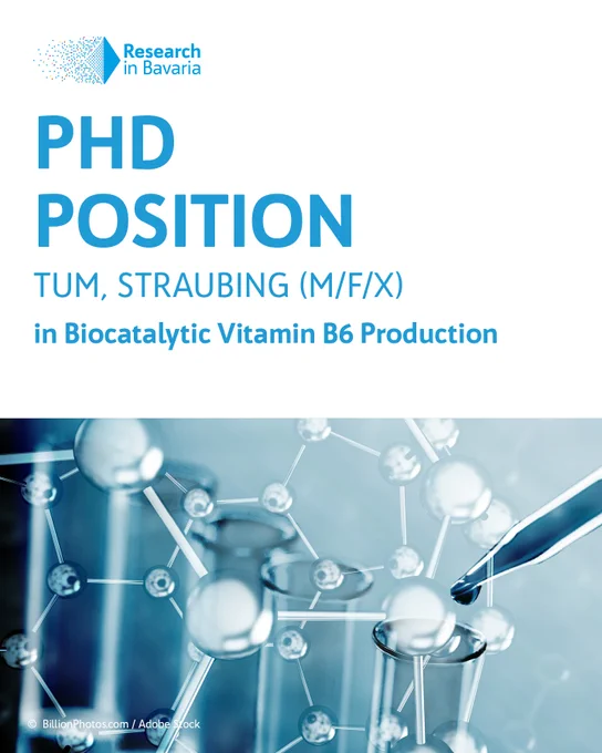 Alt-Text: In the top left corner is the logo of Research in Bavaria, text below says: “PhD 
Position
TUM, Straubing (M/F/X)
in Biocatalytic Vitamin B6 Production”
Photo below shows science laboratory test tubes in the background with transparent illustrative moleculars floating around in the foreground.