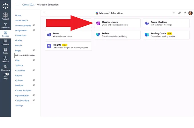 Picture of OneNote CNB LTI