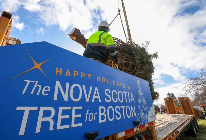 Public Works department crew place the tree on the truck that will deliver it to Boston. A large blue banner reads "Happy Holidays. The Nova Scotia Tree for Boston".