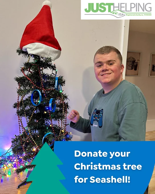 Student smiling next to decorated Christmas tree

"Donate your Christmas tree for Seashell!"