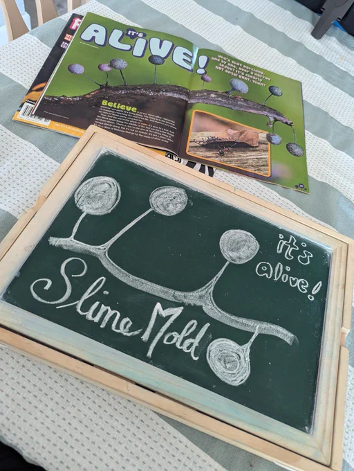 A chalkboard beside a magazine. Someone has drawn a slime mold in white chalk, based on the image in the magazine.
