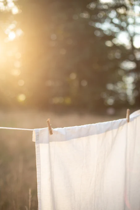 A fresh white sheet hanging on a clothesline with wooden pegs, glowing in soft sunlight. Tall trees filter golden light in the background, long grass sways beneath, and the whole scene feels calm, clean, and grounded — a moment where everything is quietly right with the world.
