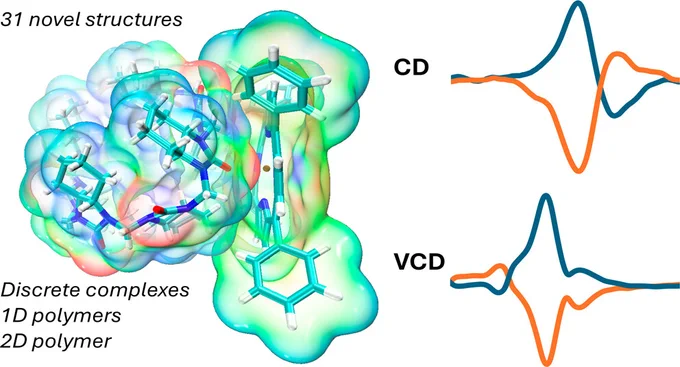 Chiral self-assembled supramolecular networks offer great potential for new chiral materials. We report the predictable self-assembly of metalloporphyrins with chiral cyclohexanohemicucurbit[n]urils (cycHC[6] and cycHC[8]), where cycHC[n] chirality is transferred to achiral porphyrins in solution and the solid state. Solvent and porphyrin substituents directed the formation of 31 novel complexes characterized by single-crystal X-ray diffraction. All complexes feature metal–urea coordination centers, with architectures ranging from discrete complexes to 1D, helical 1D, and 2D square-grid coordination polymers, governed by the shape and binding strength of cycHC[n]s. These results demonstrate the robustness of hemicucurbituril–metalloporphyrin supramolecular systems for developing advanced chiral sensing materials.