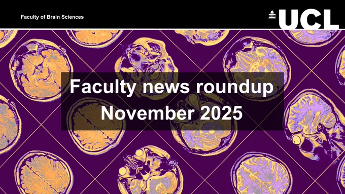Faculty news roundup November 2025
