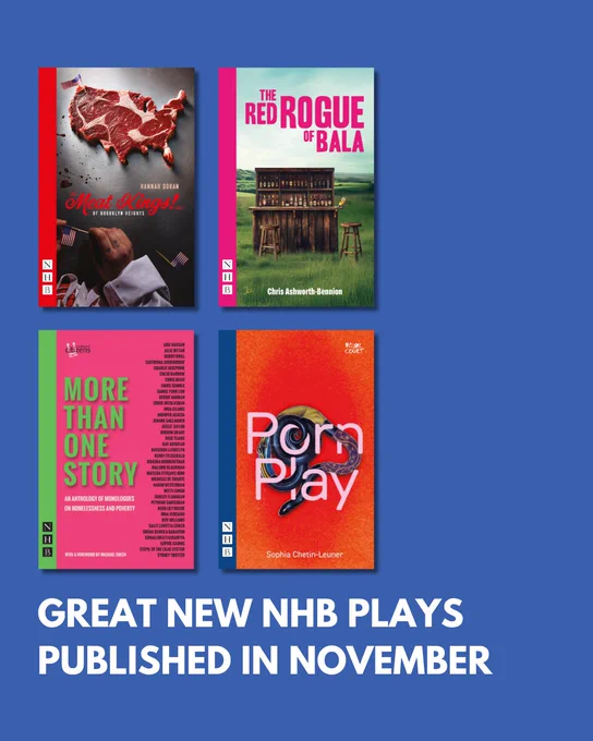 Great new NHB plays published in November: The Meat Kings! (Inc.) of Brooklyn Heights by Hannah Doran, The Red Rogue of Bala by Chris Ashworth-Bennion, More Than One Story: An Anthology of Monologues on Homelessness and Poverty curated by Cardboard Citizens, and Porn Play by Sophia Chetin-Leuner.
