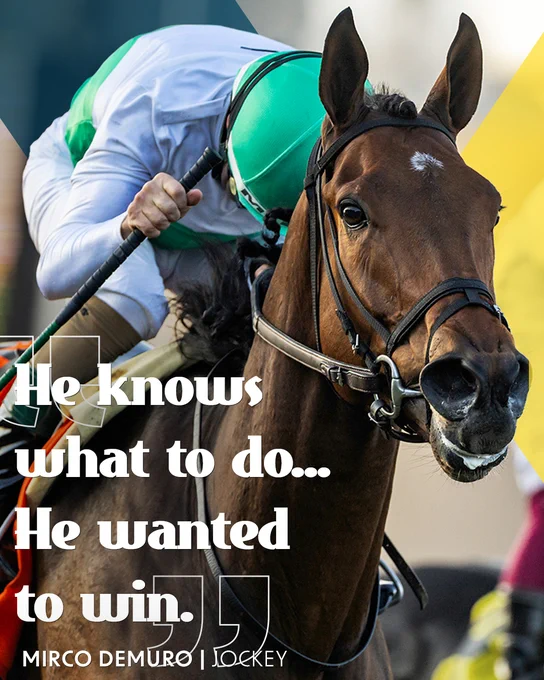 He knows what to do... he wanted to win.