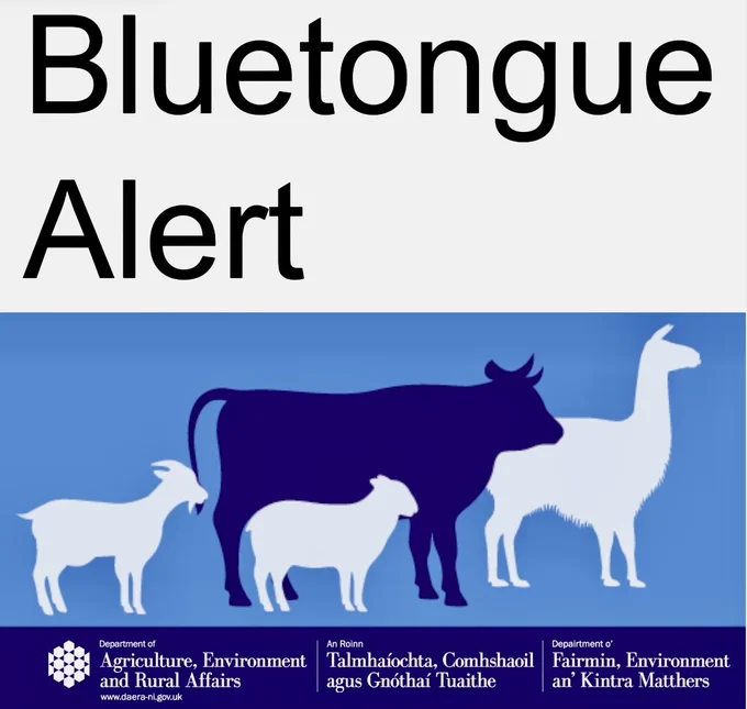 Graphic of sheep pigs goats and cow pan blue and white background reads brogue alert in black writing on white background