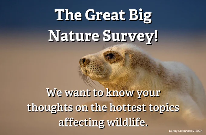 Promotional image for 'The Great Big Nature Survey' featuring a close-up of a seal against a soft-focus background, encouraging views on wildlife issues.