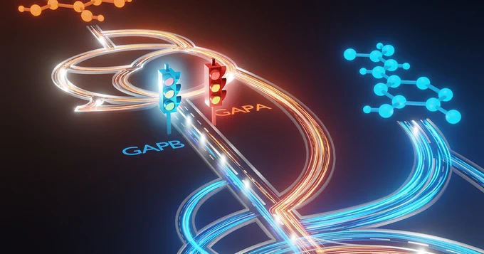 A team led by Professor Ludmilla Aristilde found that two versions of one enzyme act as “traffic controllers” for carbon in bacteria — a discovery that could help engineers turn waste like plant matter or plastics into useful chemicals and fuels.