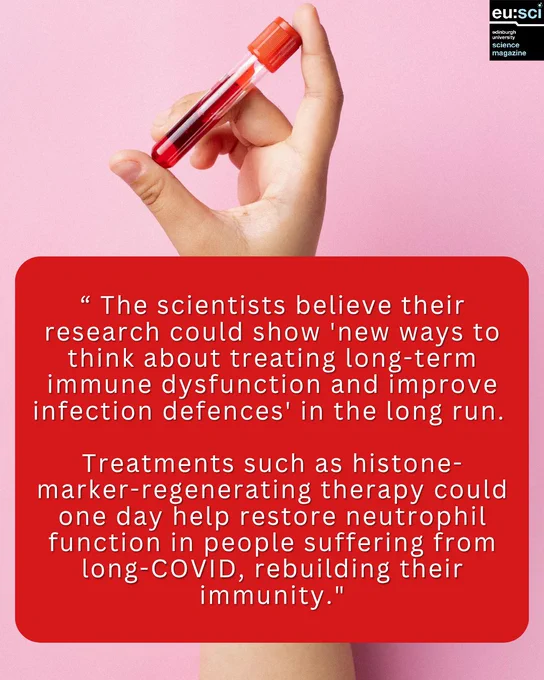 Text reads: “ The scientists believe their research could show “new ways to think about treating long-term immune dysfunction and improve infection defences” in the long run.  Treatments such as histone-marker-regenerating therapy could one day help restore neutrophil function in people suffering from long-COVID, rebuilding their immunity. “ with image of hand holding a vial of blood as background