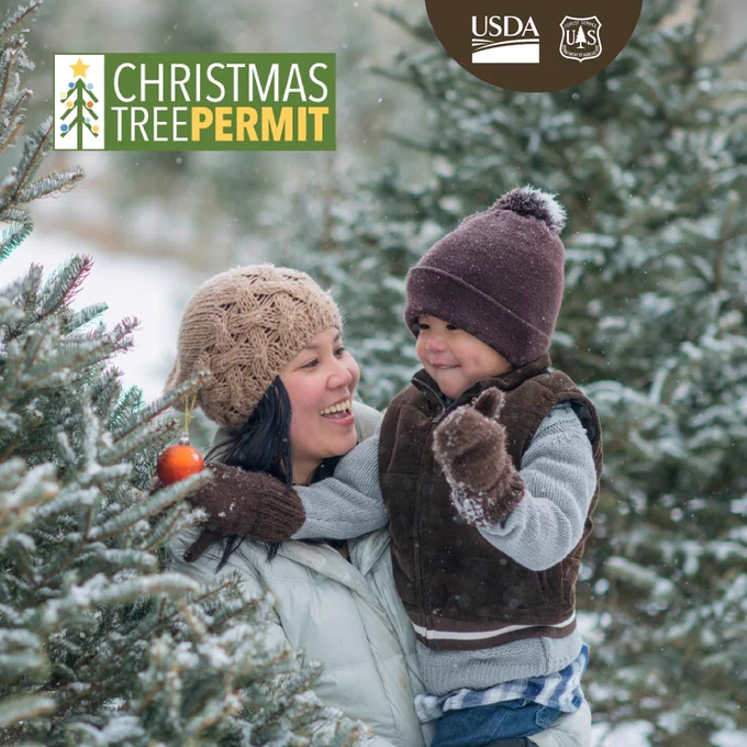 A woman and child enjoy a wintry pine forest.