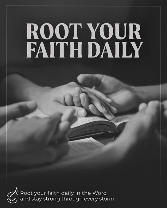Root Your Faith Daily