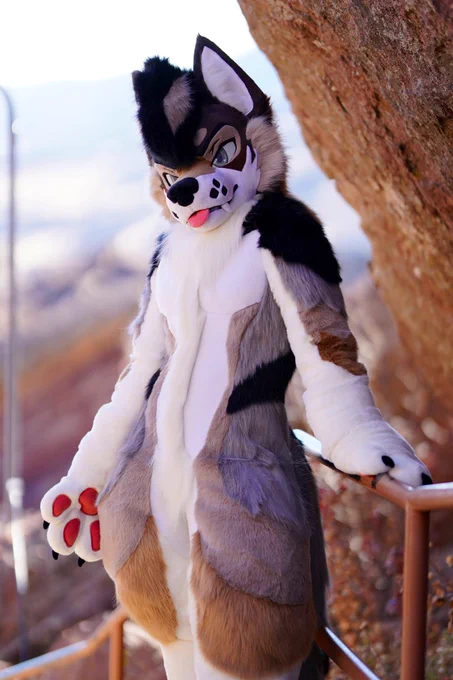 Wolf full suiter standing with his hand resting on a railing.