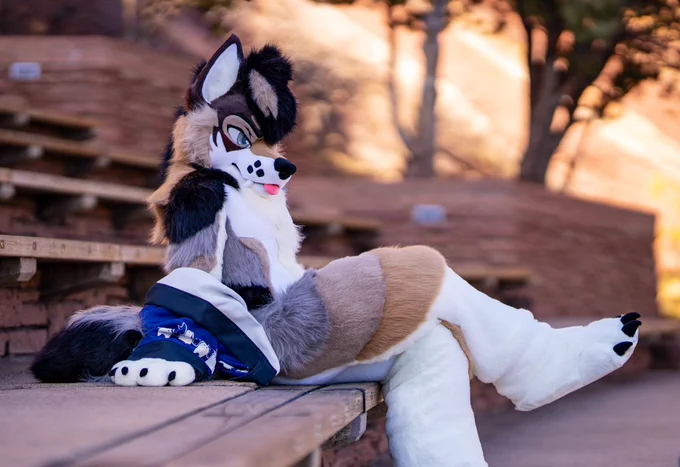 Wolf full suit leaning back on his paws while sitting down with his legs crossed.