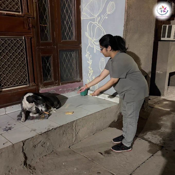 Our interns are feeding animals across India — one small act, one big hope. 🐾
Kindness can save lives.
Join us and help care for those who can’t speak for themselves: helpeachother.org

#FeedTheStrays #HelpEachOther #AnimalCare #SmallStepsBigChange