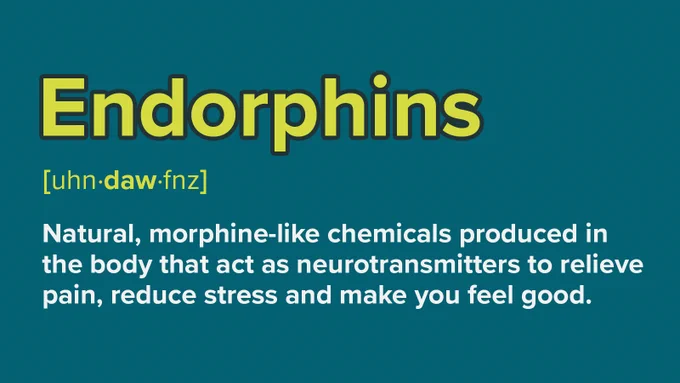 Endorphins: Natural chemicals acting as neurotransmitters, relieving pain, reducing stress, and enhancing mood.
