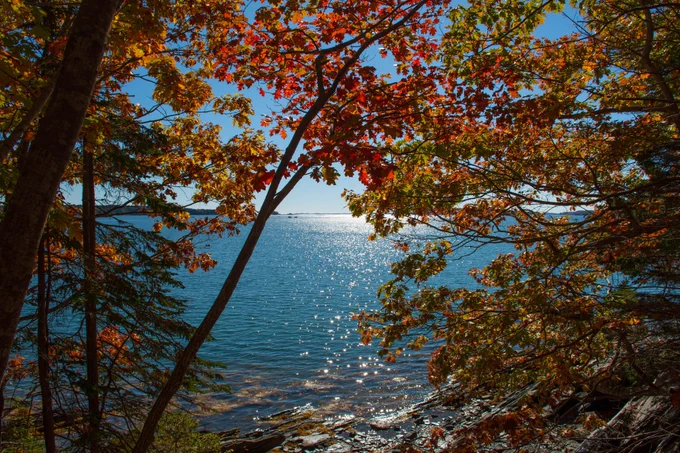 Wolfe's Neck State Park - viewing the ocean from a rocky shore with autumn leaves around the edges 