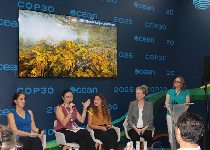 A photo of the panel in session during COP30. The four panelists (from left to right: Marcia Macedo, Pearl Mitchell, Mariana Rocha de Souza, and Sonya Dyhrman) sit in front of a monitor that displays a photo of a kelp forest with the caption, microbes in kelp ecosystems. Pearl speaks and holds a microphone. Elizabeth Kujawinski, panel moderator, stands to Sonya's right behind a lectern. Photo by Danielle Fino, WHOI. 