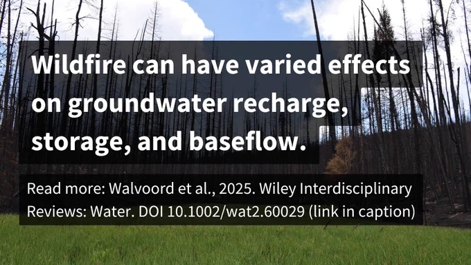 Wildfire can have varied effects on groundwater recharge, storage, and baseflow. Read more: Walvoord et al., 2025. Wiley Interdisciplinary Reviews: Water. DOI 10.1002/wat2.60029 (link in caption). Background photo shows green grass in front of a recently burned forest. Image courtesy of Brian Ebel, USGS. 