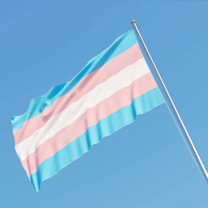 An image of the Trans Flag against a blue sky.