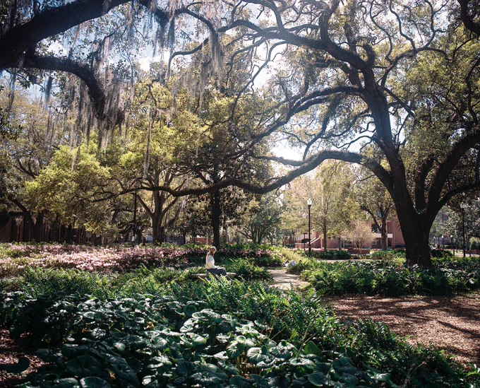 Film photo of a student sitting in Plaza of the Americas surrounded by trees and foliage.
