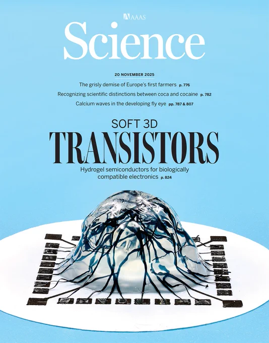 This image shows three-dimensional, millimeter-thick, and cell-embeddable semiconducting hydrogel fibers. 