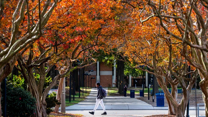 Student walking under orange-leaf trees