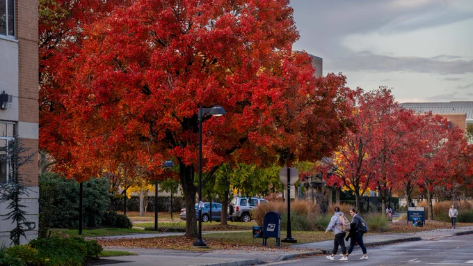 Students chatting while walking across street